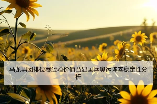 马龙男团排位赛经验价值凸显国乒奥运阵容稳定性分析
