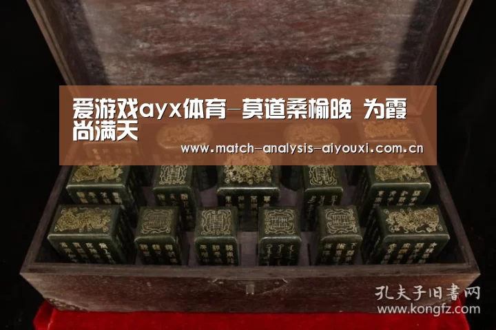 爱游戏ayx体育